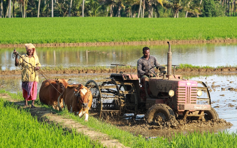 Formation agriculteurs Sénégal