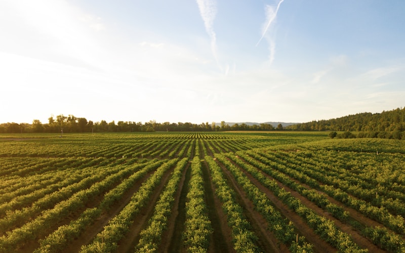 Agriculture durable